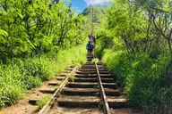 Honolulu E-Bike Ride and Koko Head Hike thumbnail 6