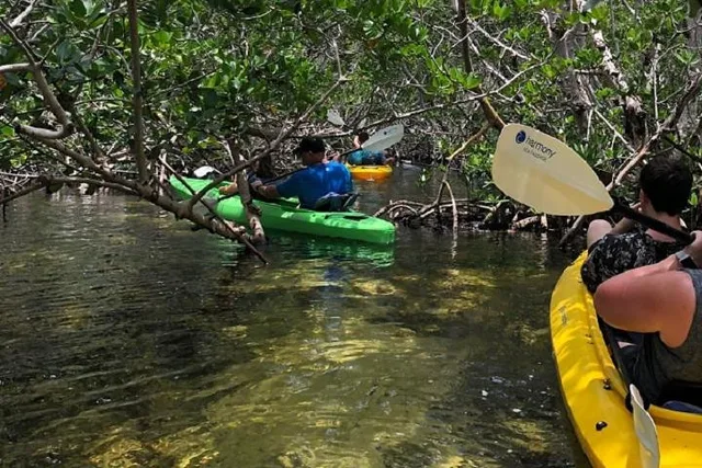 Key West Kayak Rental - Image 6