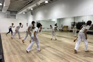 Miami Capoeira Class thumbnail 1