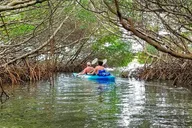 St. Petersburg Kayak Adventure at Shell Key Preserve thumbnail 6