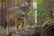 Sioux Falls Zoo Entry Ticket thumbnail 5