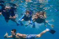Maui Kayak and Snorkel Tour at Turtle Town thumbnail 3