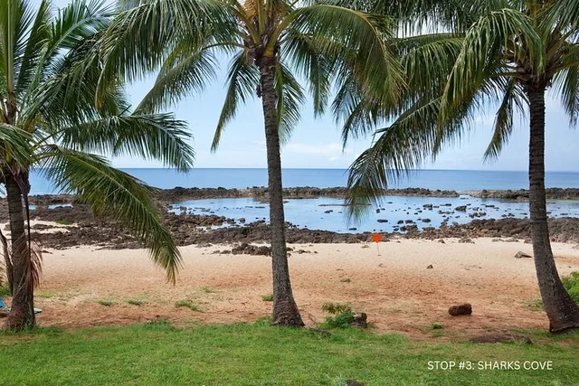 Oahu E-Bike and Snorkel Adventure - Image 4