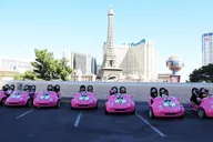 Las Vegas Scooter and Food Tour thumbnail 6