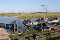 Florida Everglades Night Airboat Ride thumbnail 2