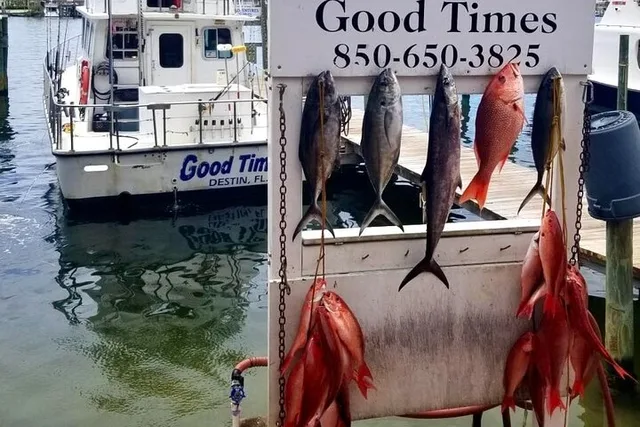 Destin Deep Sea Fishing Trip - Image 3