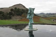 Napa Wine Country Limousine Tour 6 hr thumbnail 3