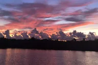 Panama City Dolphin Cruise at Sunset thumbnail 2