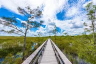 Everglades National Park Self-Guided Audio Tour thumbnail 1