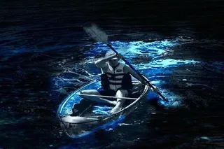 Cocoa Beach Clear Kayaking Bioluminescent Tour 90 min