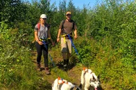 Fairbanks Husky Hiking Tour thumbnail 3