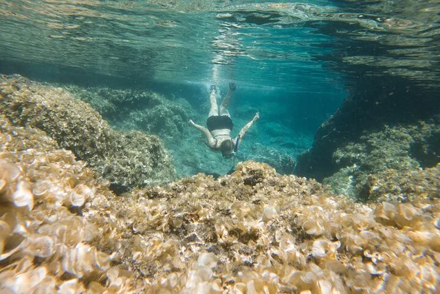 Big Island Tide Pool Hike and Jungle Adventure - Image 6