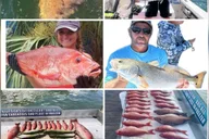 Destin Fishing Charter Experience thumbnail 2