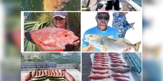 Destin Fishing Charter in the Gulf of Mexico 5 hr