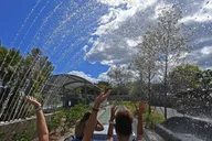 Miami Explorer Pass thumbnail 3