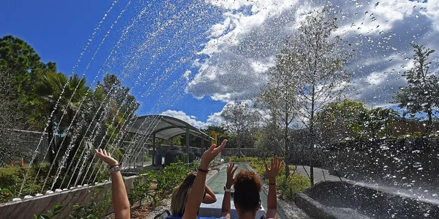 Miami Explorer Pass - Image 3