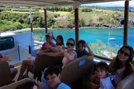 Maui Open-Air Highlights Tour from Kāʻanapali thumbnail 3