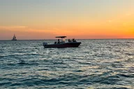 Panama City Dolphin Adventure at Sunset thumbnail 4