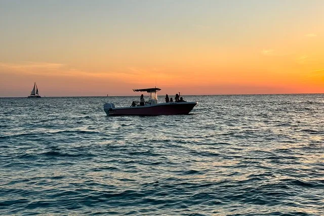 Panama City Dolphin Adventure at Sunset - Image 4