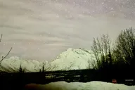 Anchorage Wilderness and Wine Tasting Tour thumbnail 5