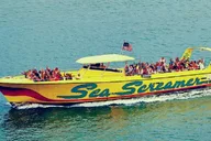 Orlando Clearwater Beach Dolphin Cruise Day Trip thumbnail 3