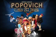 Las Vegas Comedy Pet Theater thumbnail 1