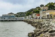 San Francisco Muir Woods and Sausalito Bay Cruise thumbnail 6