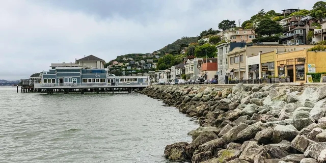 San Francisco Muir Woods and Sausalito Bay Cruise - Image 6