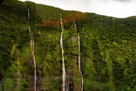 Hilo Helicopter Tour of Hamakua Coast and Valleys thumbnail 5