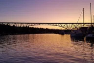 Seattle Sightseeing Cruise BYOB 1 hr thumbnail 6