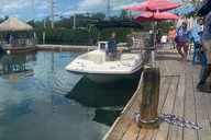 Miami Boat Rental Day Cruise thumbnail 2