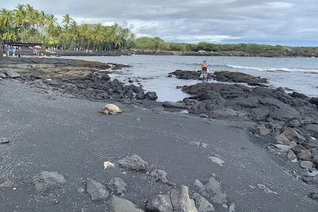 Hilo Shore Excursion: Hamakua Coast Tour - Image 5