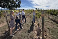 Solvang Wine Tour by Car thumbnail 5