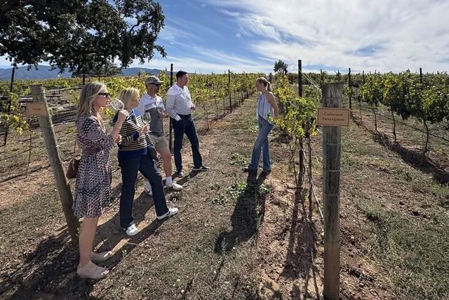Solvang Wine Tour by Car - Image 5