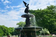 New York Central Park Pedicab Tour thumbnail 3