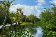 Miami Everglades Boat Tour with Transport thumbnail 4