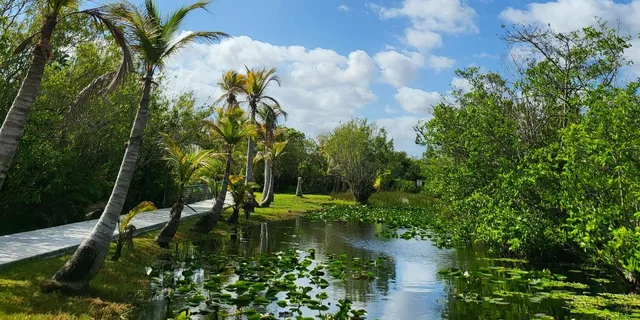 Miami Everglades Boat Tour with Transport - Image 4