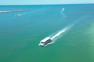 Clearwater Beach Dolphin and Island Sandbar Cruise thumbnail 4