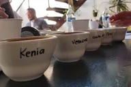 Tijuana Coffee Shop Hop from San Diego thumbnail 3