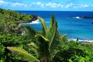 Maui Road to Hana Waterfalls Tour with Lunch thumbnail 1