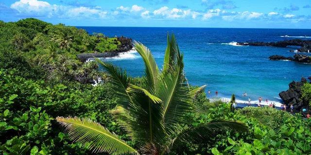 Maui Road to Hana Waterfalls Tour with Lunch - Image 1