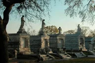 New Orleans City and Cemetery Bus Tour 2 hr thumbnail 3