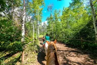 Glenwood Springs Horseback Ride 1 Hr thumbnail 6