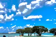 Miami Self-Drive Boat Rental thumbnail 1