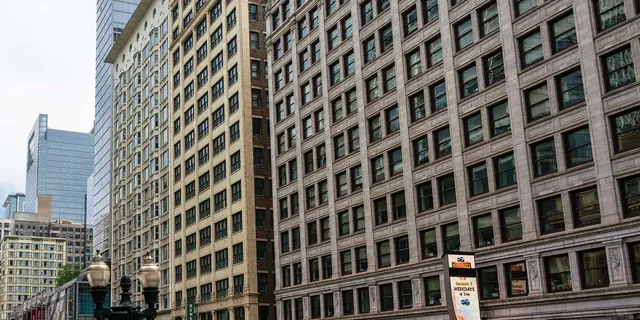 Chicago Skyscraper Walking Tour - Image 5