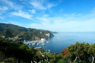 Catalina Island Trip with Hotel Transfers thumbnail 1