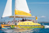 Panama City Beach Dolphin Sightseeing Catamaran Tour thumbnail 6