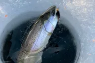 Fairbanks Ice Fishing Experience thumbnail 6