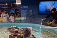 Las Vegas Natural History Museum Admission thumbnail 6