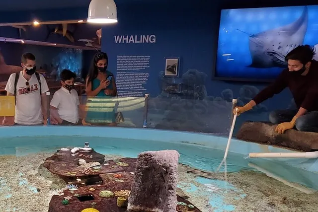 Las Vegas Natural History Museum Admission - Image 6